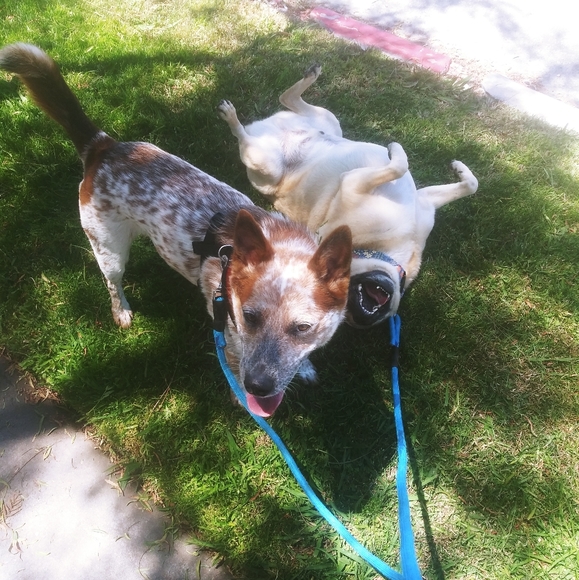 Meet your Posher, Lydia - Picture 5 of 9